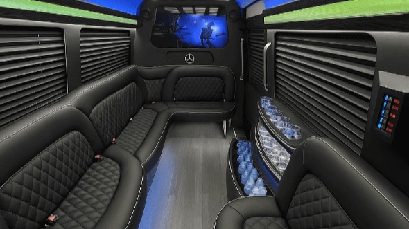 14 passenger sprinter limousine interior