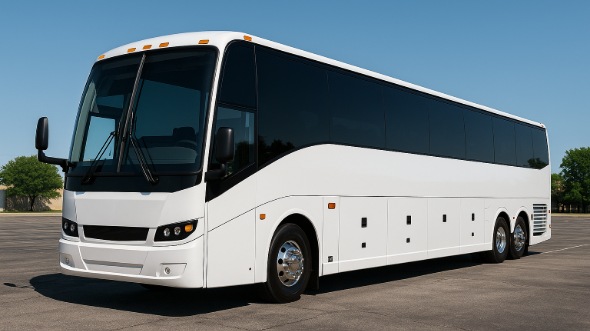 Exterior of Charter Bus Company Oak Lawn's 50 Passenger Party Bus in Oak Lawn