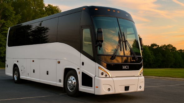 bolingbrook bachelor and bachelorette party bus rentals