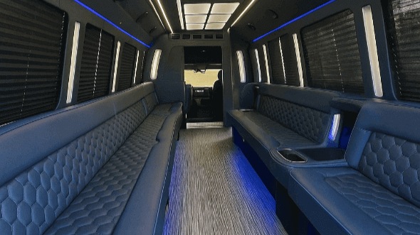 tinley park 20 passenger party bus